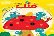 نشریه قلک 