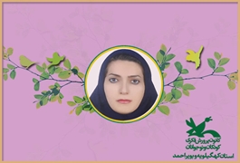 نوشتن خلاق مقدماتی،خانم جهانشاهی ،سه شنبه ساعت 11،تابستان 1400(کهگیلویه و بویراحمد)