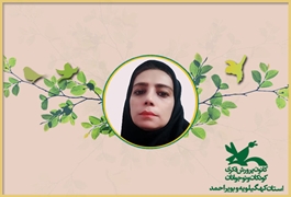 شعر و قصه ،خانم محمدی ،چهار شنبه ساعت 10،تابستان 1400(کهگیلویه و بویراحمد)