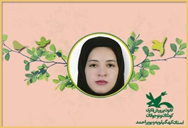 طراحی مقدماتی ،خانم پناهی ،پنج شنبه ساعت 10،تابستان 1400(کهگیلویه و بویراحمد)