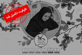 پویانمایی مقدماتی نونهال و نونگاه ترم 1 (کارگاه دوم)-(البرز)-فاطمه نظری پور-شنبه ساعت 10-تابستان 1400