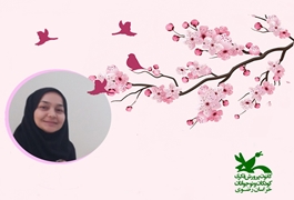 فلسفه برای کودکان(تفکر)،نوخوان،ثریا یوسفی ،یکشنبه 12 الی13،خراسان رضوی ،بهار 1404