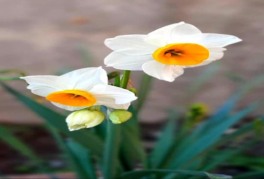  نمایشگاه مجازی 